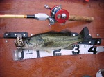 20080703biwako2.jpg