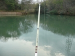 20090329.jpg