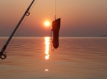 20090409.jpg