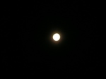 20100302 1.jpg