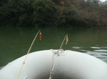 20100305 2.jpg