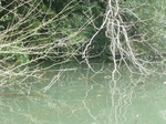 20100305 6.jpg