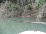 20100305 7.jpg