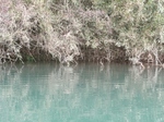 20100315 1.jpg