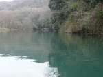 20100315 2.jpg