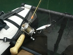 20100315 4.jpg