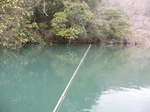 20100315 5.jpg