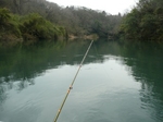20100315 6.jpg