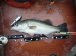 20100322 10.jpg