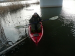 20100322 6.jpg