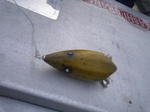 20100327 3.jpg