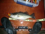 20100412 1.jpg