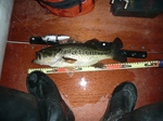 20100607 10.jpg