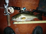 20100607 14.jpg