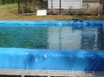 20100612CAMPPAL 23.jpg