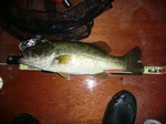 20100707 4.jpg