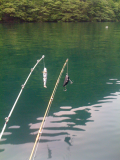 image-201006167085403.png