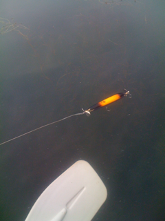 image-201006169174736.png