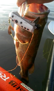 image-20100705165813.png