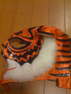 image-20101130082342.png