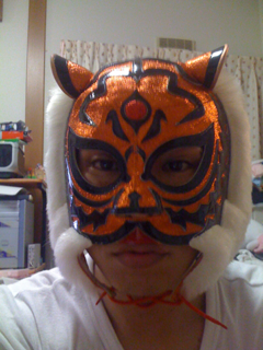 image-20101130085216.png