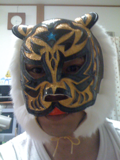 image-20101130213447.png