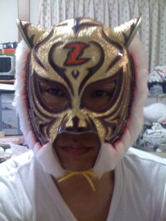 image-20101202085040.png