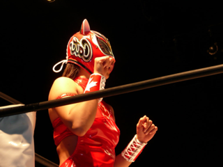 image-20101220084722.png