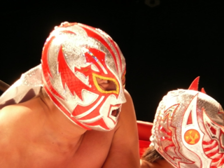 image-20101220085905.png