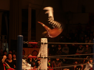 image-20110123122649.png