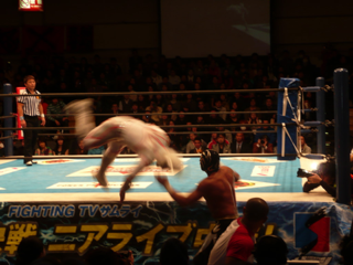 image-20110123122743.png