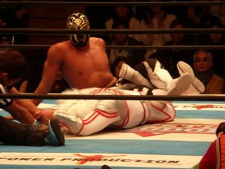 image-20110123123050.png