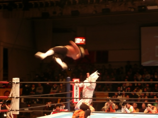 image-20110123123310.png