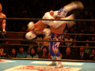image-20110123180255.png