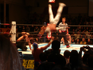 image-20110123180533.png