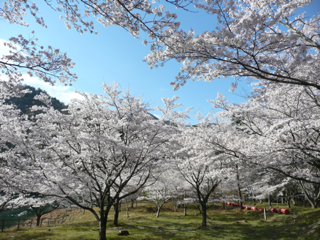 image-20110417202000.png