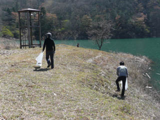 image-20110417202904.png