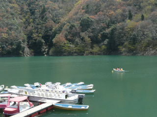 image-20110417205915.png