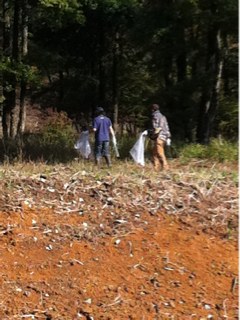 image-20111023192213.png